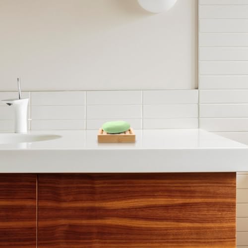 Luxshiny Compact Boat-Shaped Soap Holder for Bathroom and Kitchen
