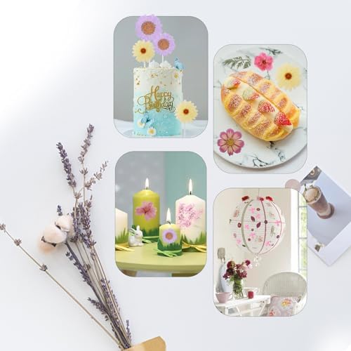 Eshow 104Pcs Dried Pressed Flowers for Resin Crafts