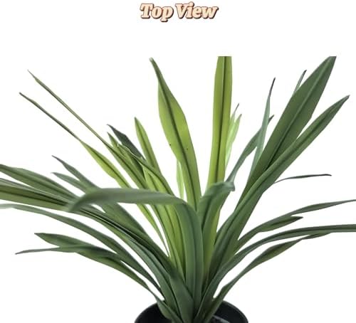 Realistic Artificial Lemon Grass Plant with White Edges