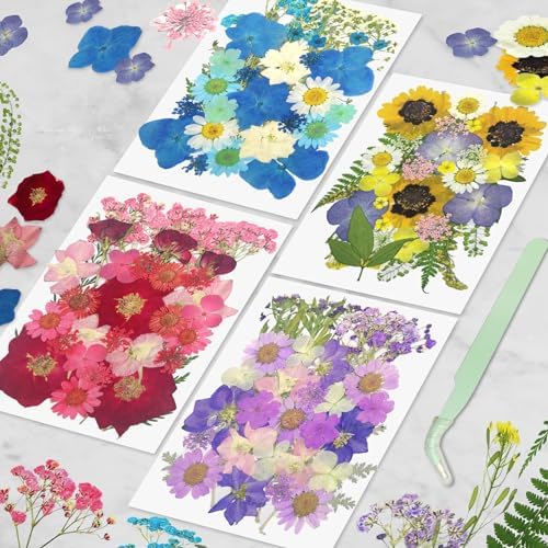Demorex 134Pcs Dried Flowers Craft Kit