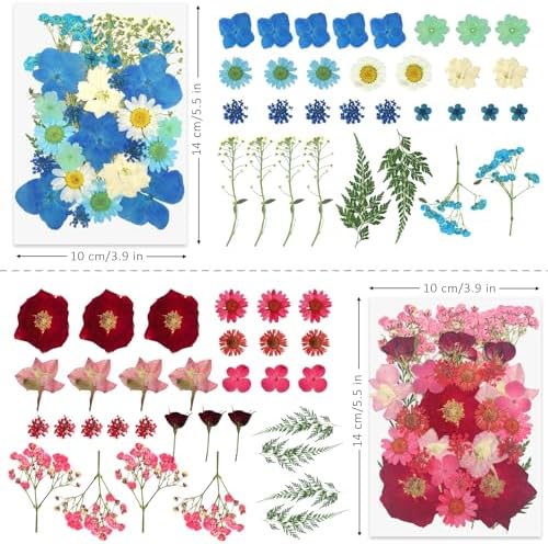 Demorex 134Pcs Dried Flowers Craft Kit