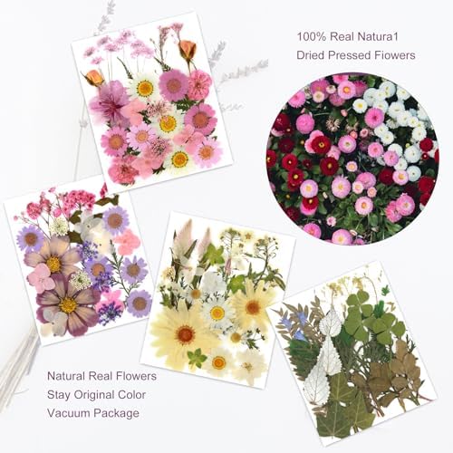 Eshow 104Pcs Dried Pressed Flowers for Resin Crafts