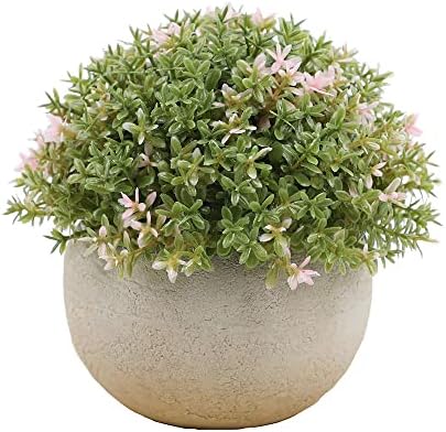 YYIDYLLIC Mini Artificial Potted Plants with Grey Pots