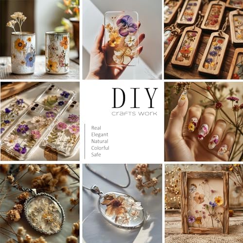 Demorex 134Pcs Dried Flowers Craft Kit