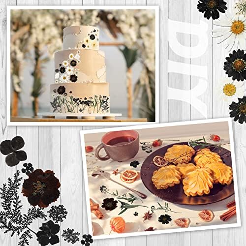 Nuanchu Dried Flowers for Resin Crafts and DIY 1