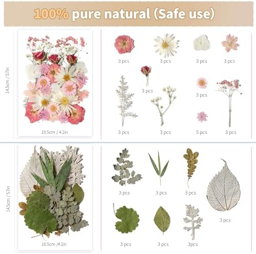Bupduq Dried Pressed Flowers for Crafts and Resin 1