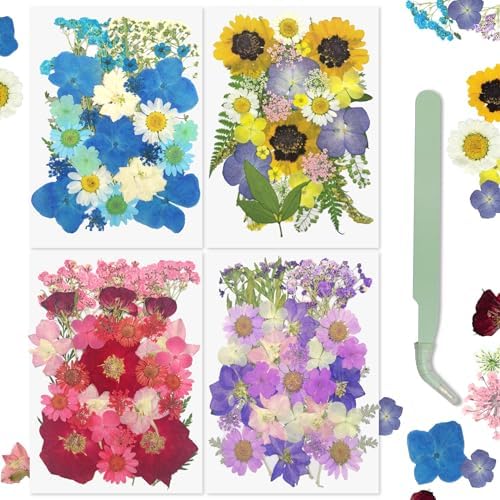 Demorex 134Pcs Dried Flowers Craft Kit