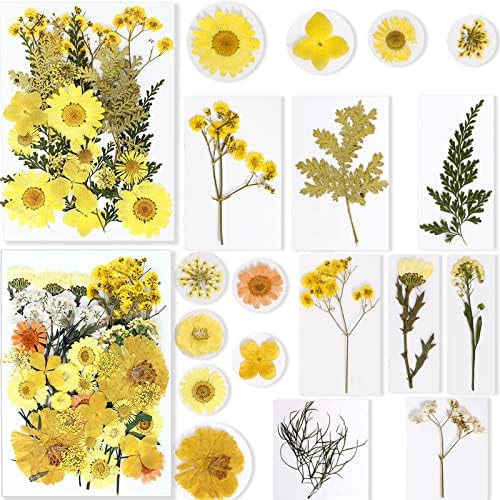 BIHRTC 100PCS Dried Pressed Flowers Leaves Set
