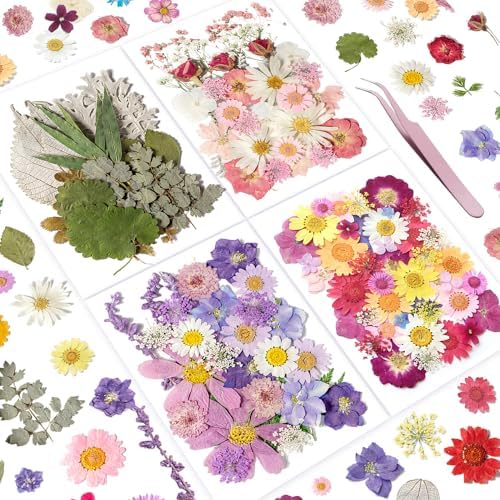 Bupduq Dried Pressed Flowers for Crafts and Resin 1