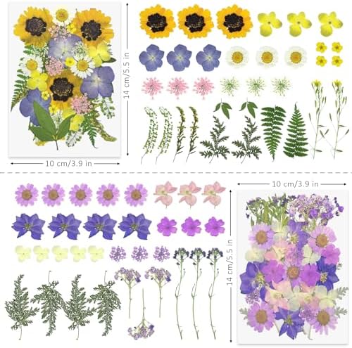 Demorex 134Pcs Dried Flowers Craft Kit