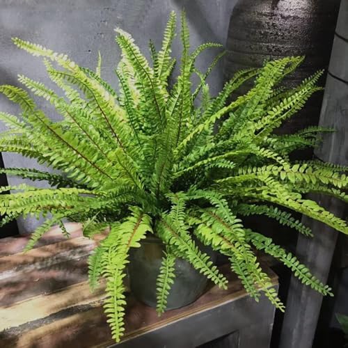 2Pcs Artificial Fern Plants Fake Boston Fern Faux Greenery