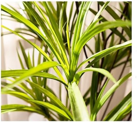Artificial Dragon Blood Tree 100cm 32ft Potted Realistic Fake Plant