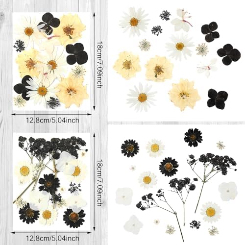 Nuanchu Dried Flowers for Resin Crafts and DIY 1