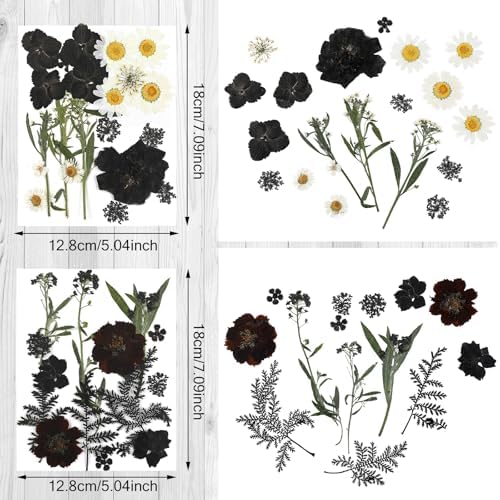 Nuanchu Dried Flowers for Resin Crafts and DIY 1