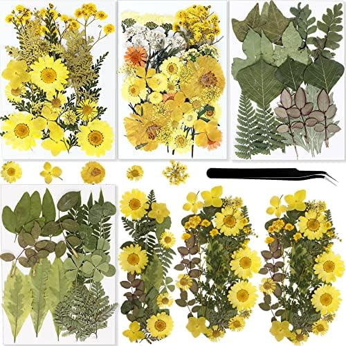BIHRTC 100PCS Dried Pressed Flowers Leaves Set