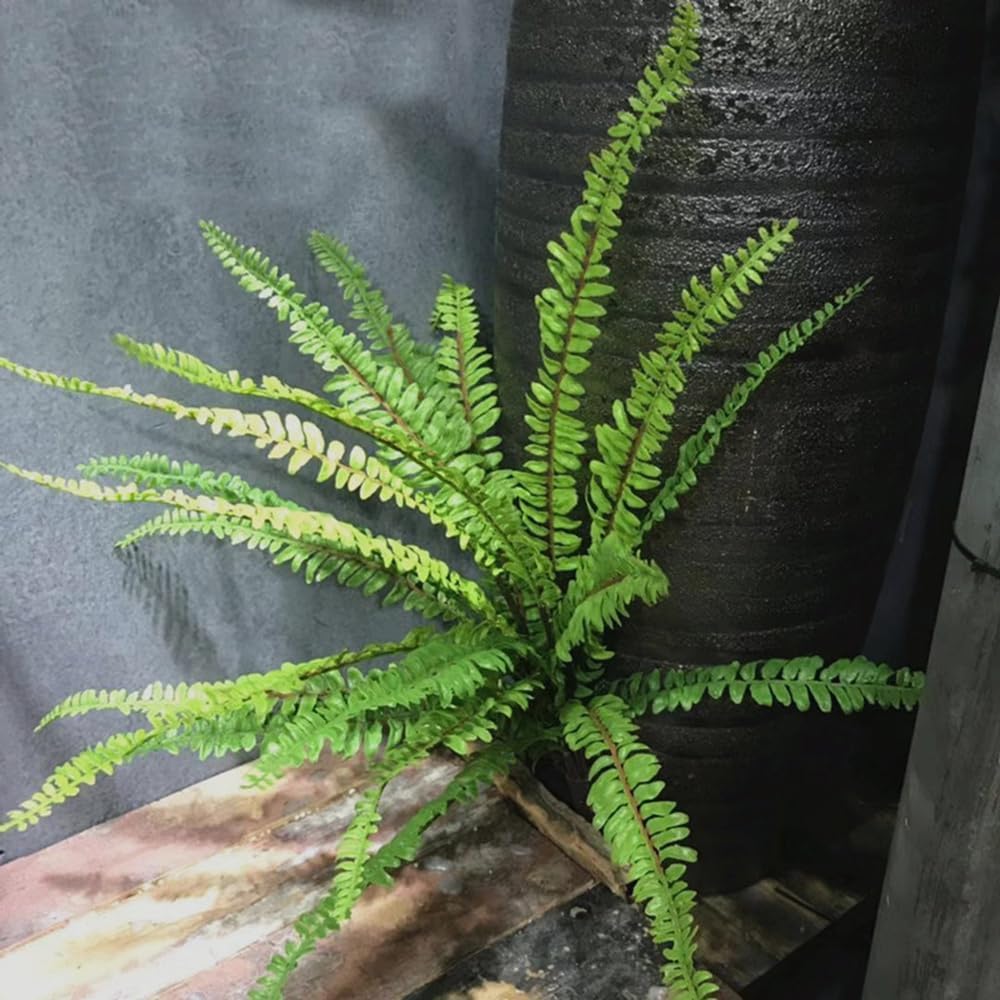 2Pcs Artificial Fern Plants Fake Boston Fern Faux Greenery