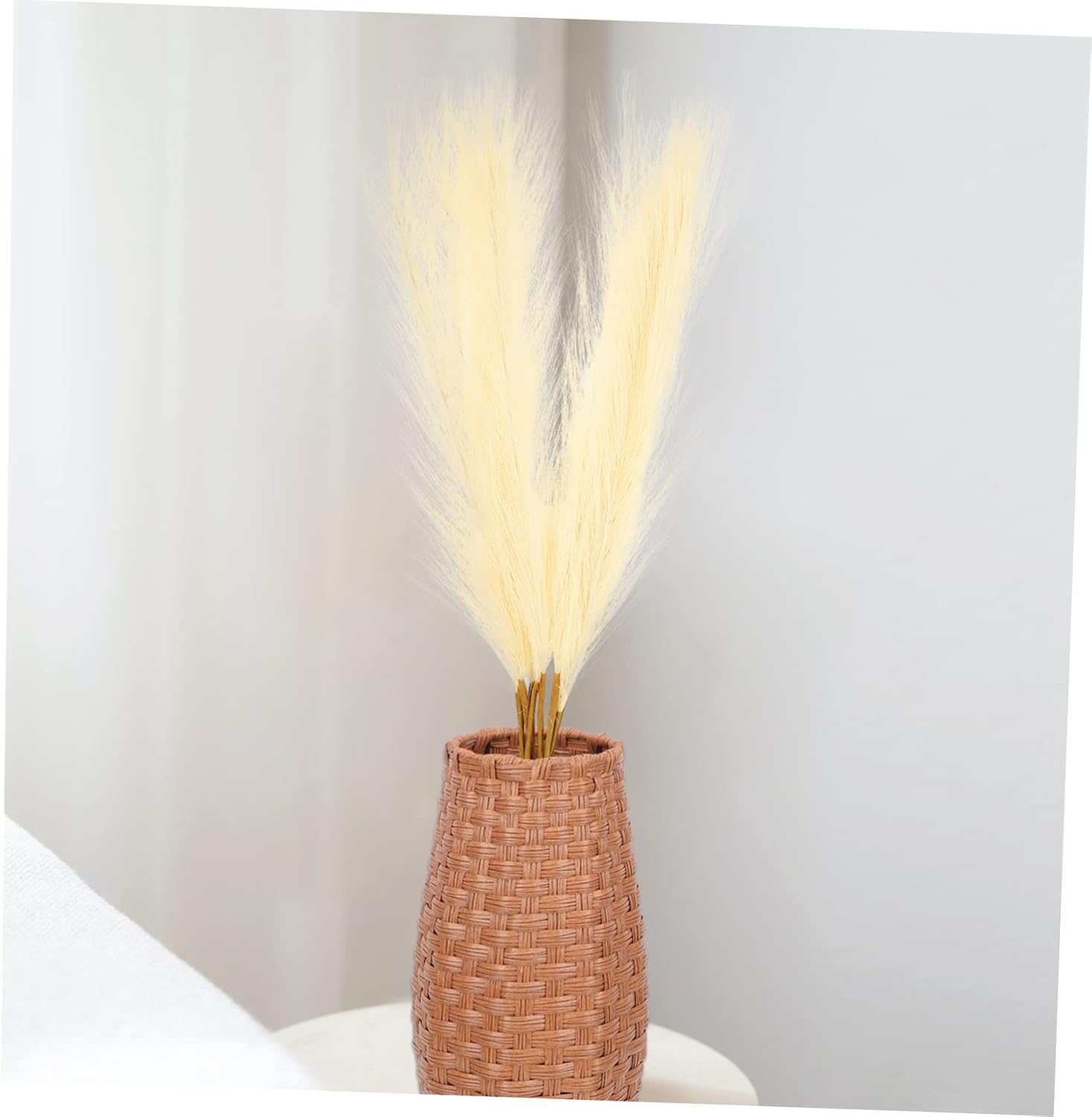 FUNOMOCYA Ornamental Grass Plants 50PCS DIY Decor Props