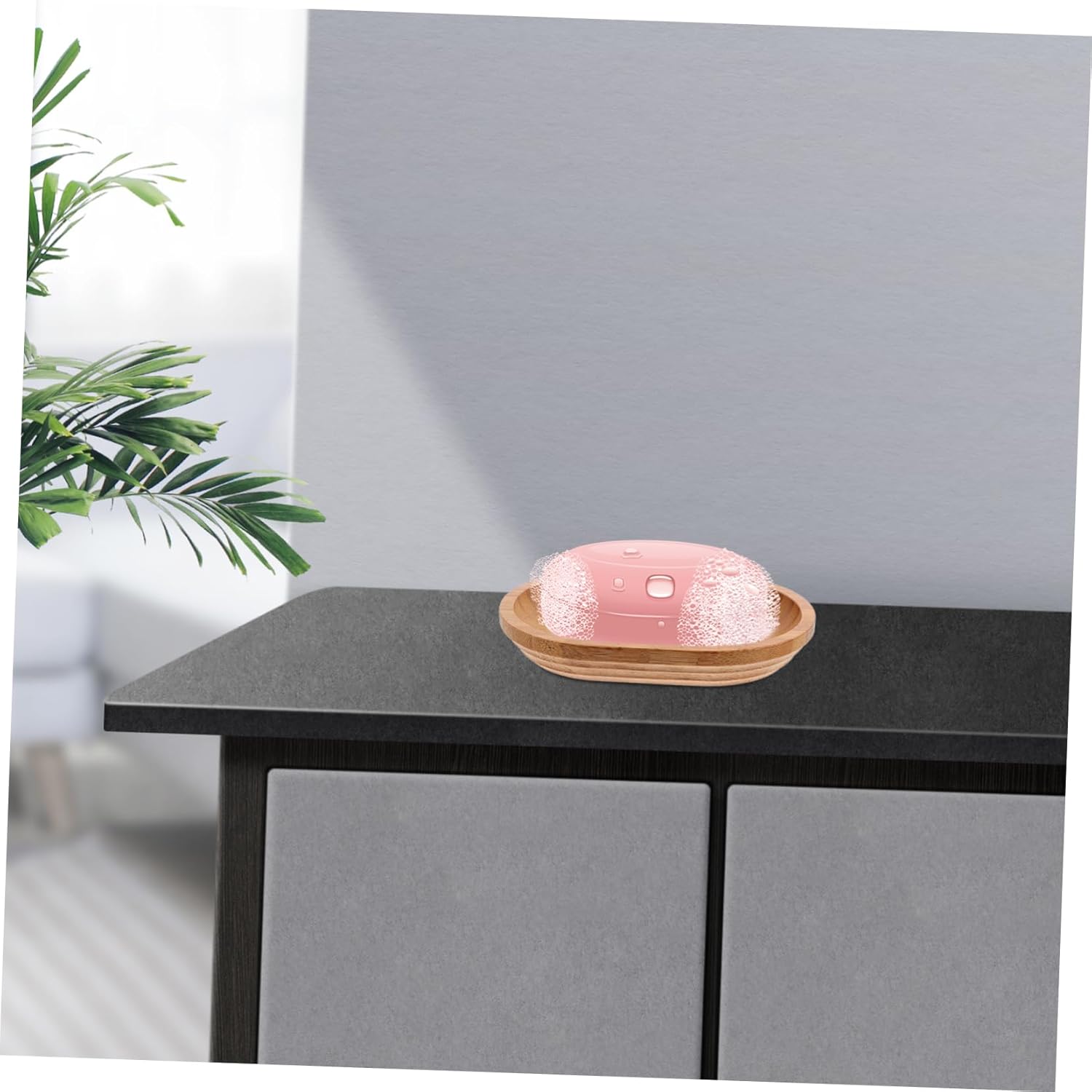 Rustic Soap Dish Holder Minimalist Design