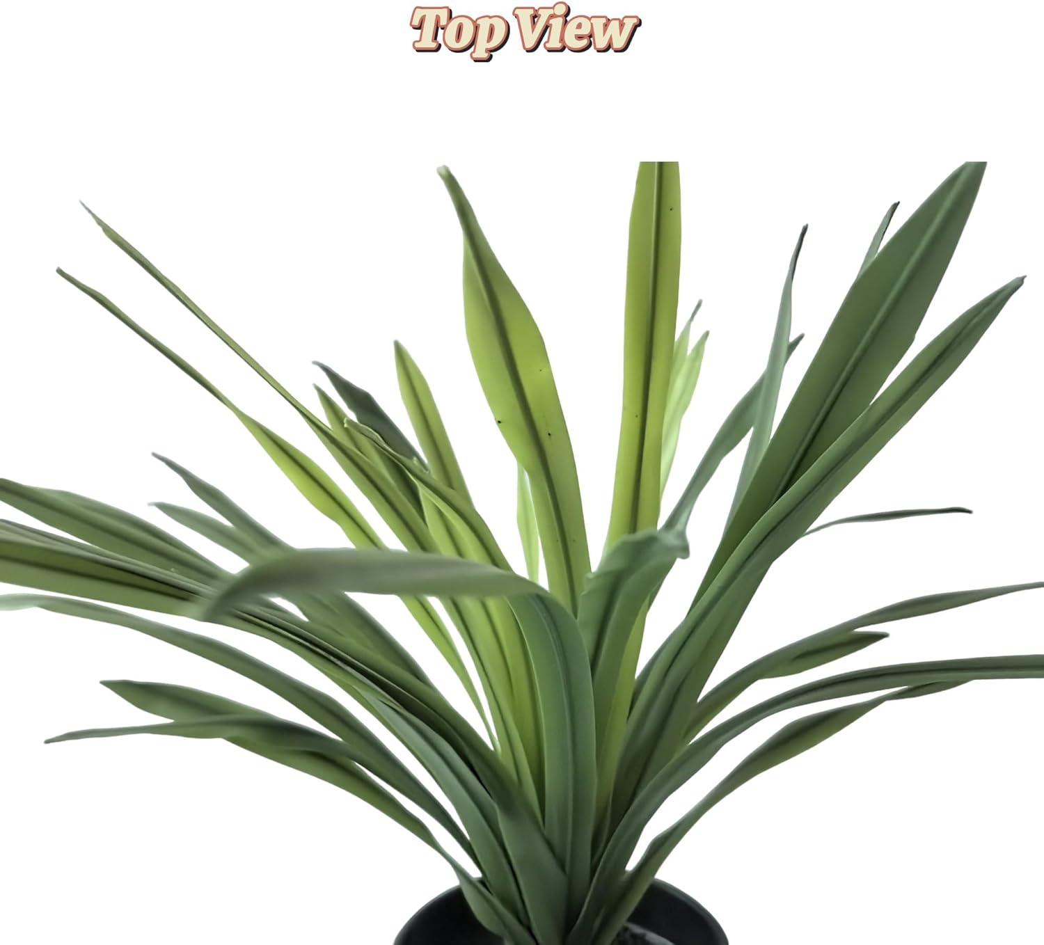 Realistic Artificial Lemon Grass Plant with White Edges