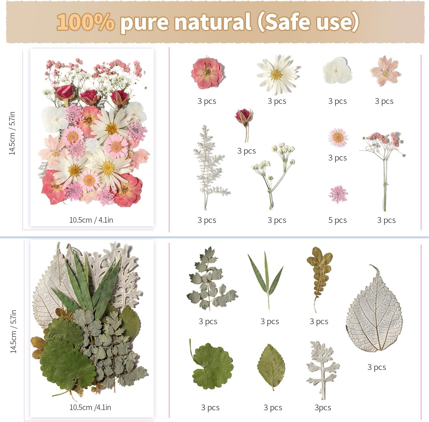 Bupduq Dried Pressed Flowers for Crafts and Resin 1