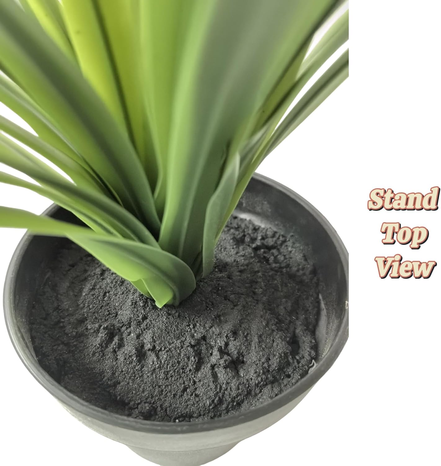 Realistic Artificial Lemon Grass Plant with White Edges
