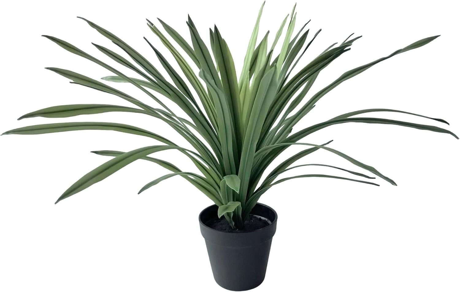 Realistic Artificial Lemon Grass Plant with White Edges