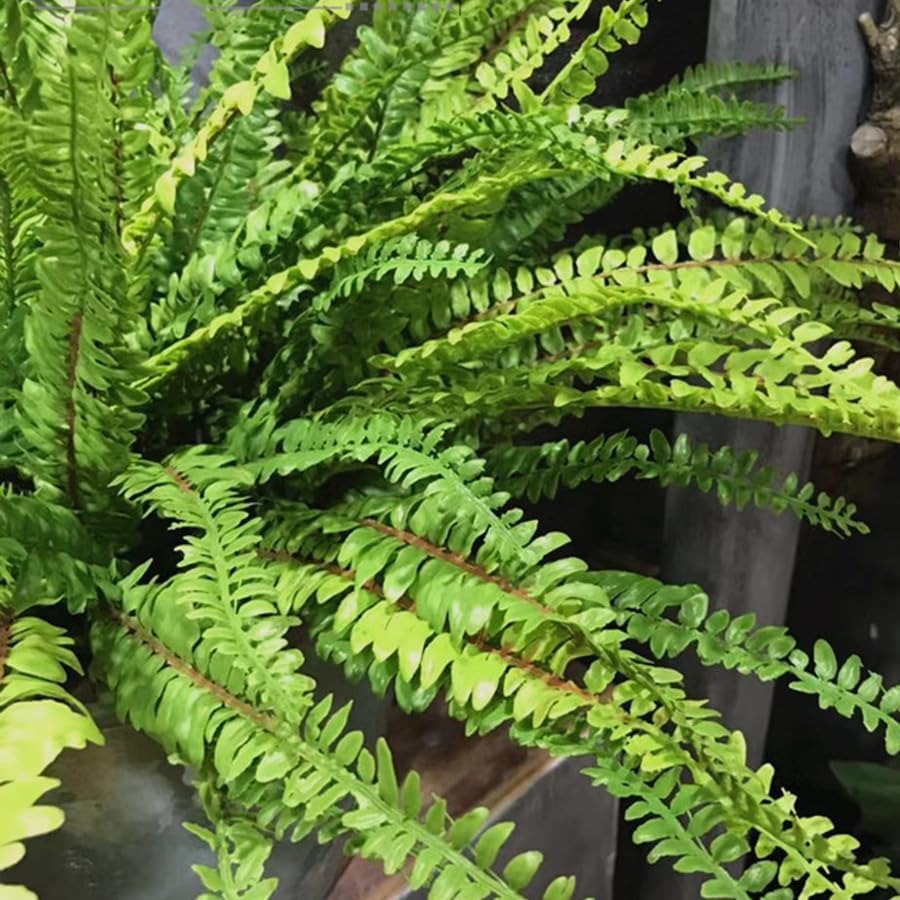 2Pcs Artificial Fern Plants Fake Boston Fern Faux Greenery