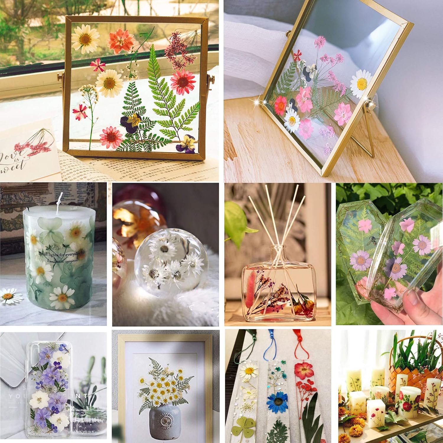 BIHRTC 100PCS Dried Pressed Flowers Leaves Set