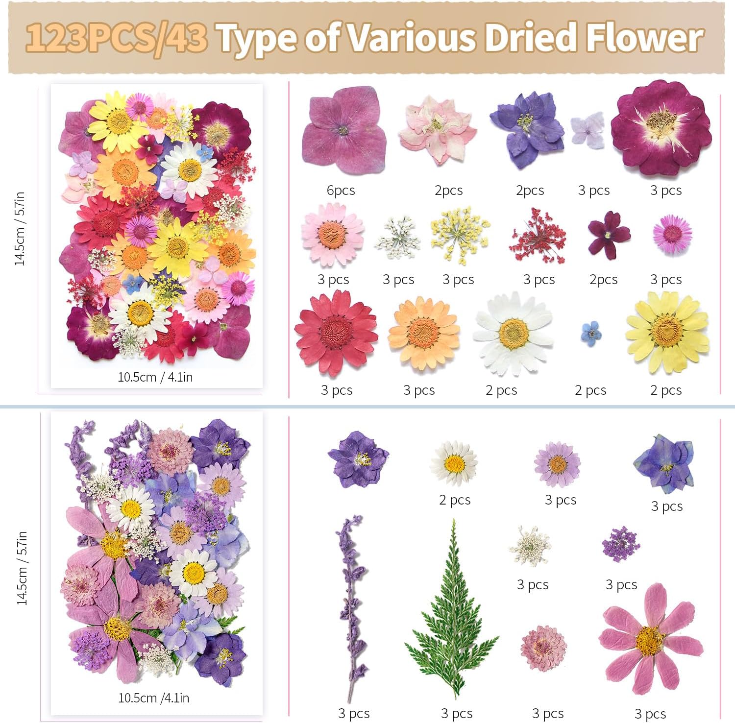 Bupduq Dried Pressed Flowers for Crafts and Resin 1