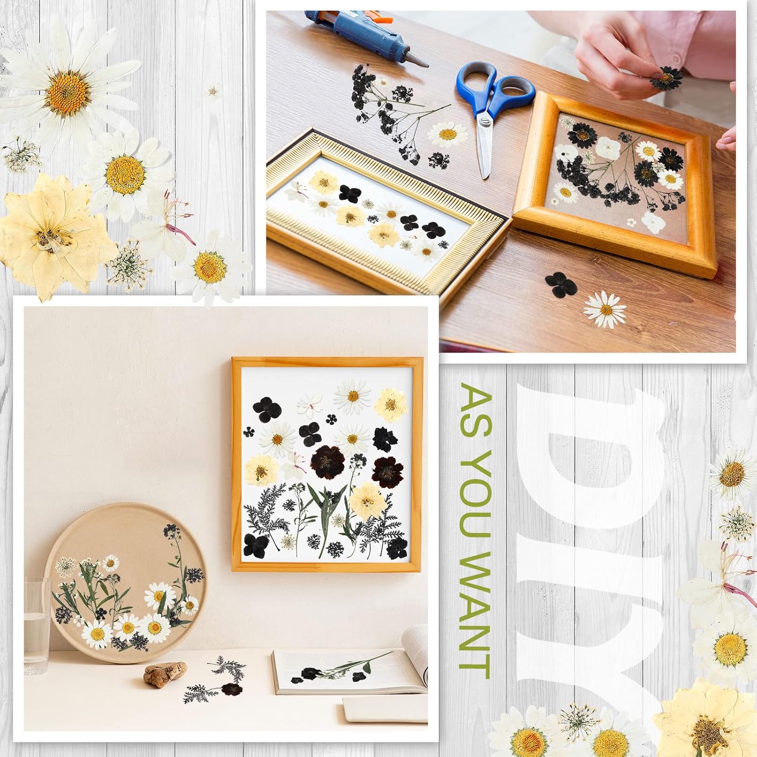 Nuanchu Dried Flowers for Resin Crafts and DIY 1