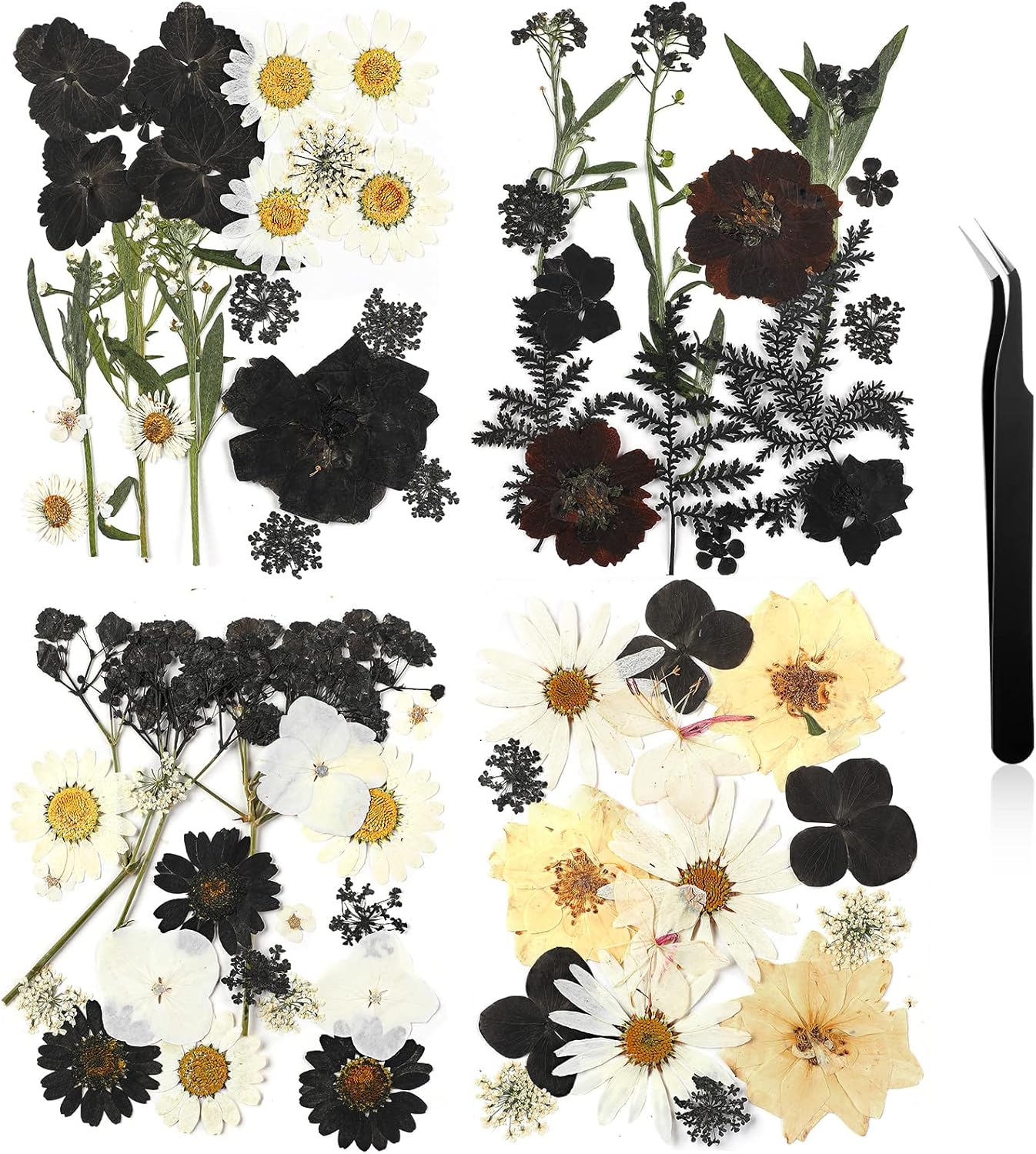 Nuanchu Dried Flowers for Resin Crafts and DIY 1