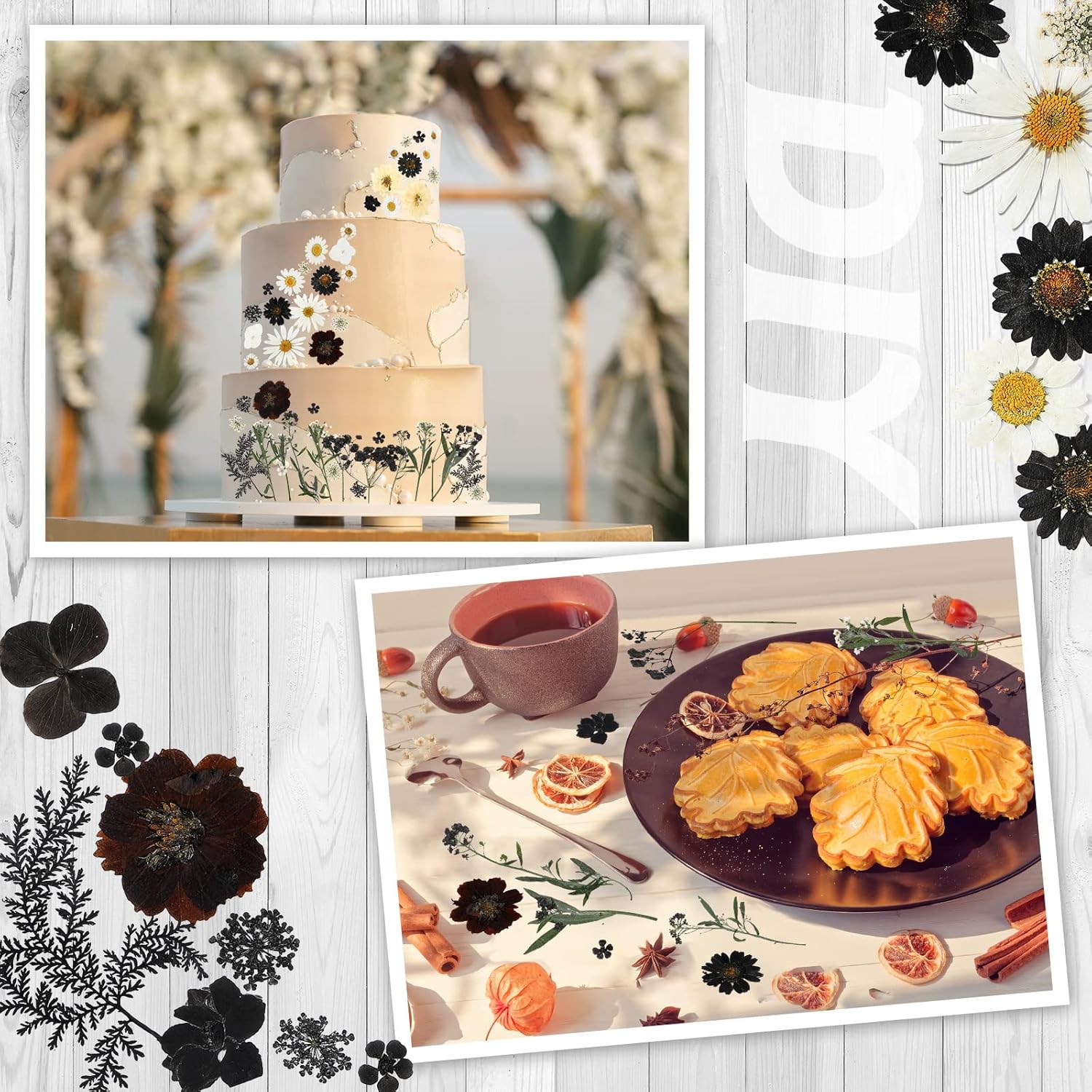 Nuanchu Dried Flowers for Resin Crafts and DIY 1