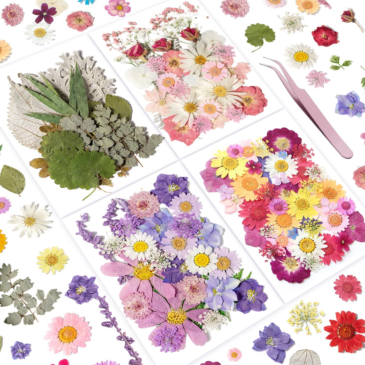 Bupduq Dried Pressed Flowers for Crafts and Resin 1