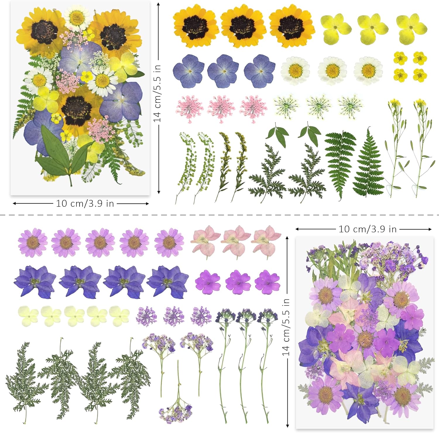 Demorex 134Pcs Dried Flowers Craft Kit