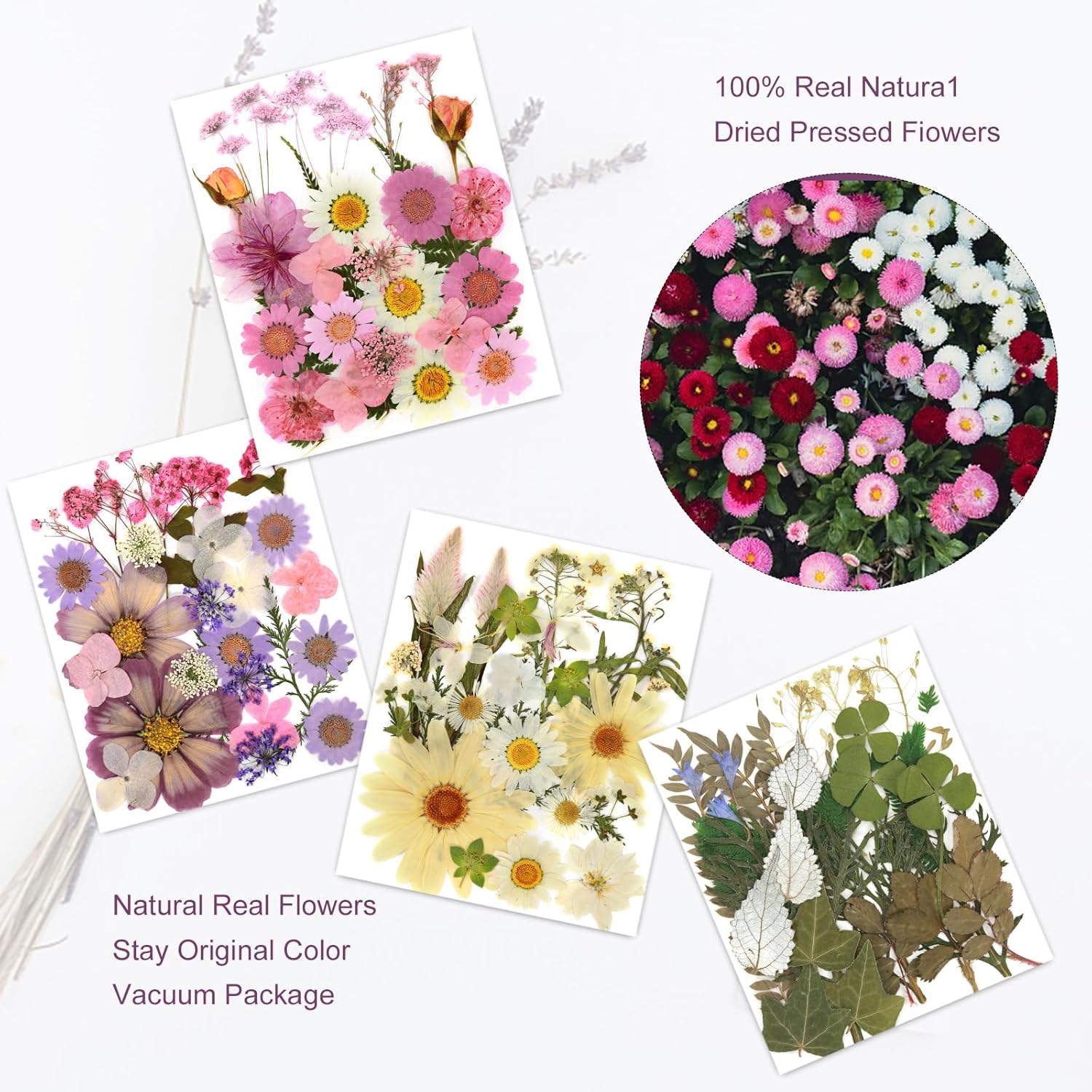 Eshow 104Pcs Dried Pressed Flowers for Resin Crafts