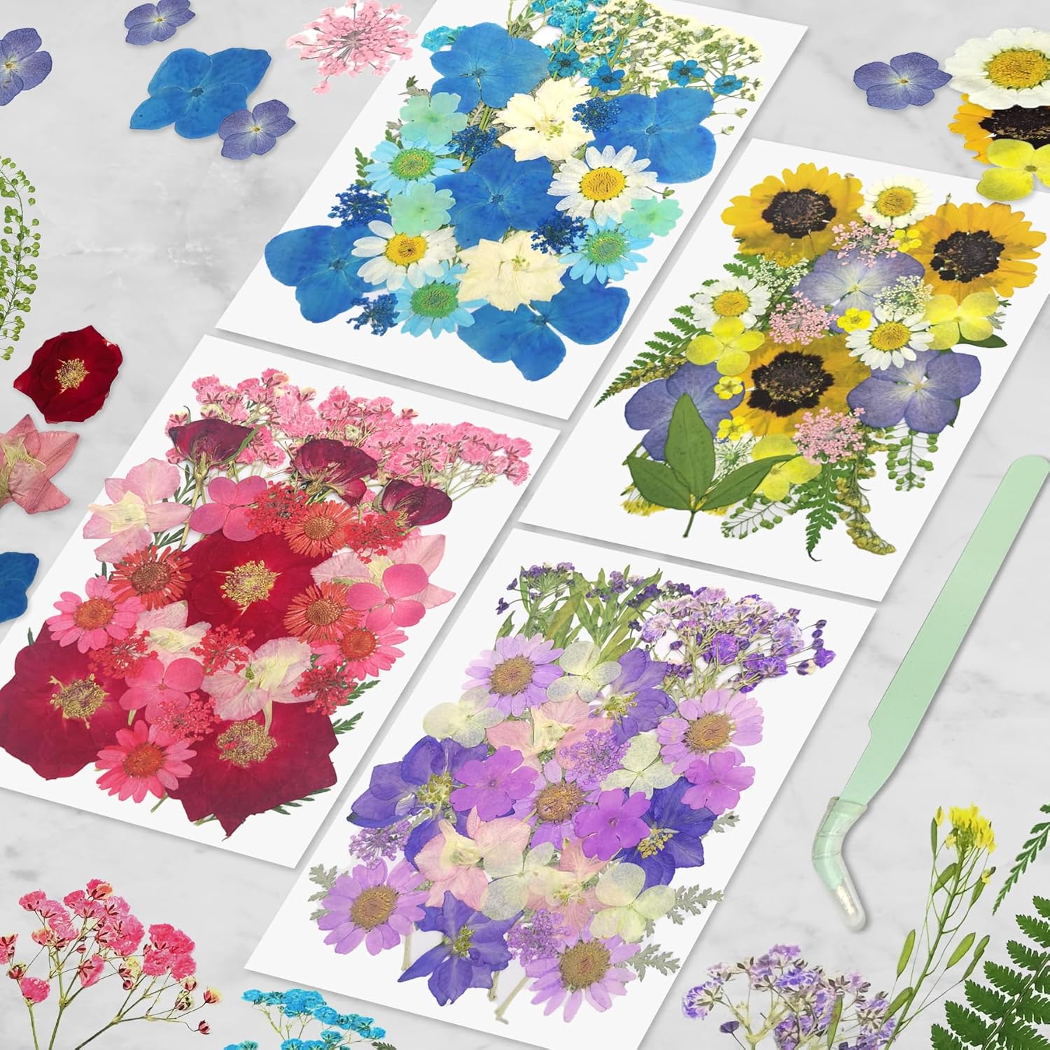Demorex 134Pcs Dried Flowers Craft Kit