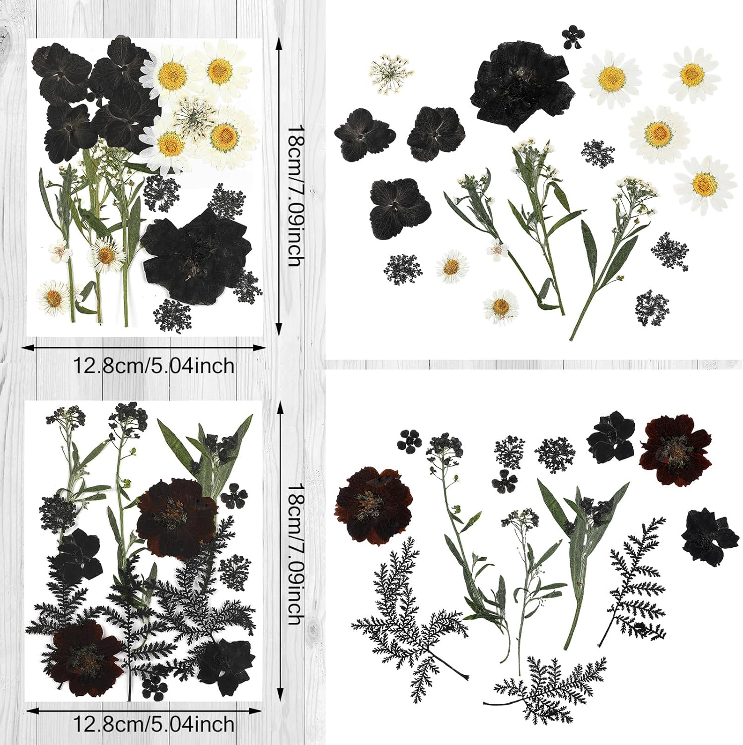 Nuanchu Dried Flowers for Resin Crafts and DIY 1