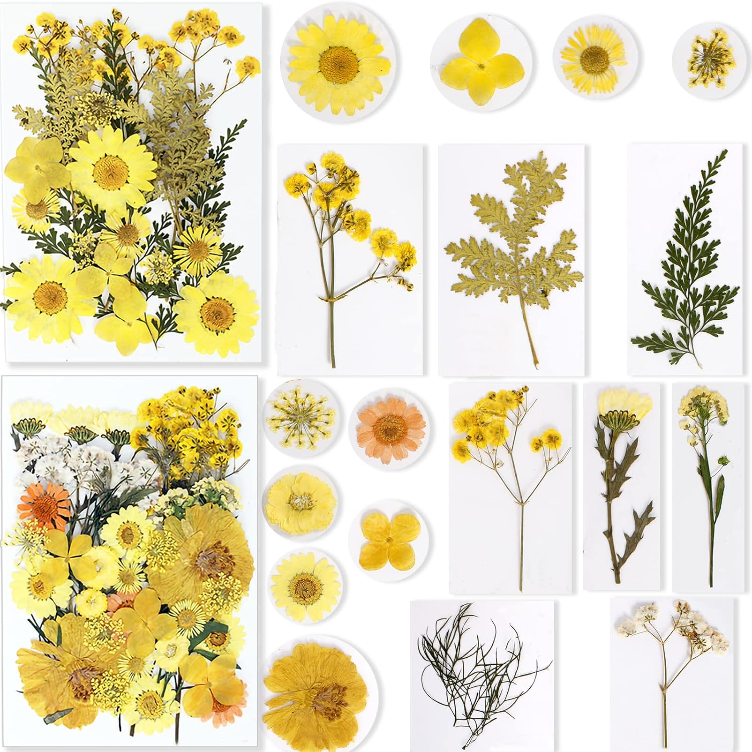 BIHRTC 100PCS Dried Pressed Flowers Leaves Set