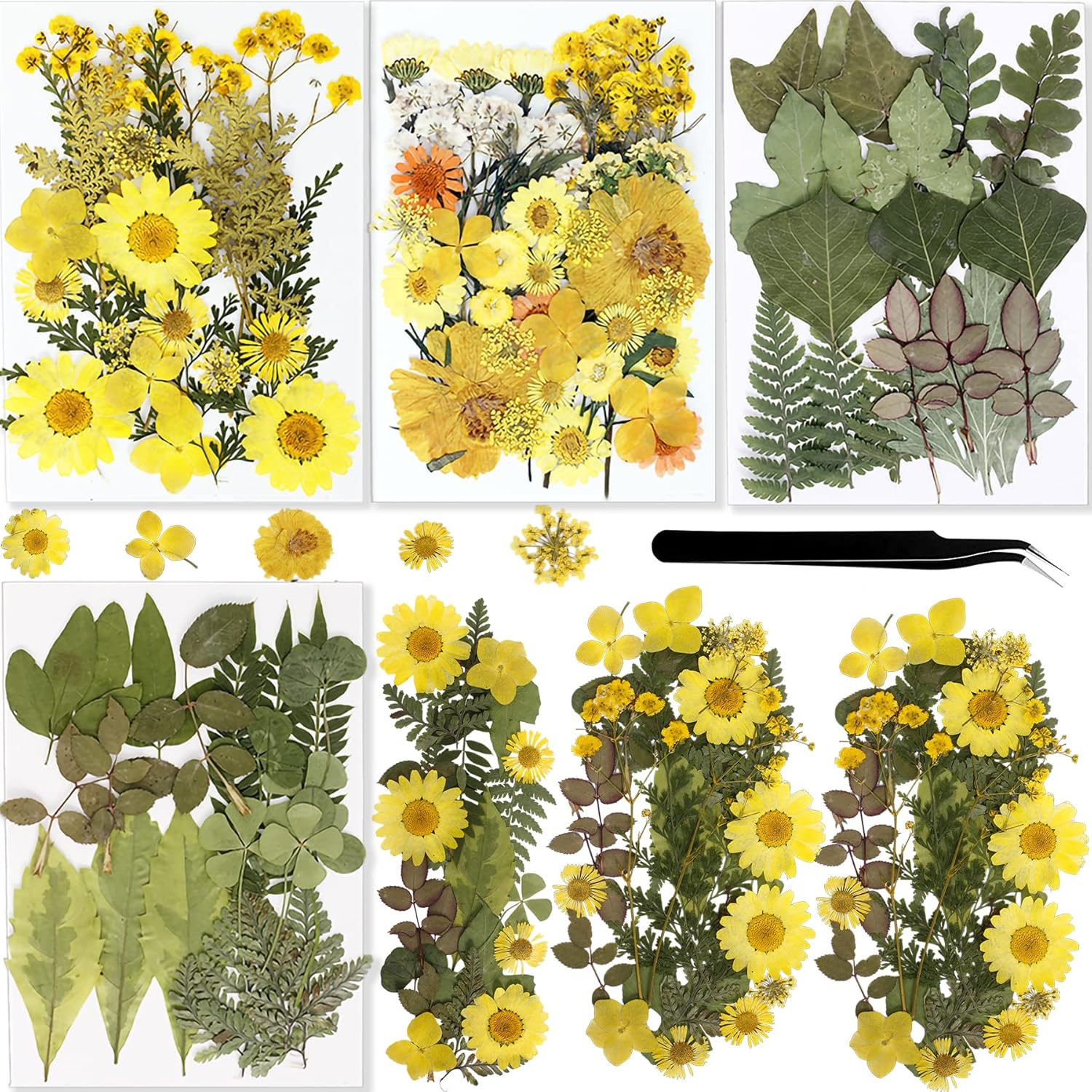 BIHRTC 100PCS Dried Pressed Flowers Leaves Set